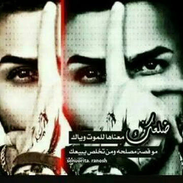 Profile photo of alaa-alosh