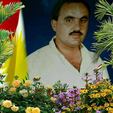 Profile photo of haider-omer