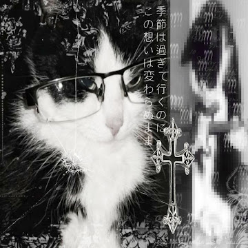 Profile photo of qqwqq-qqq