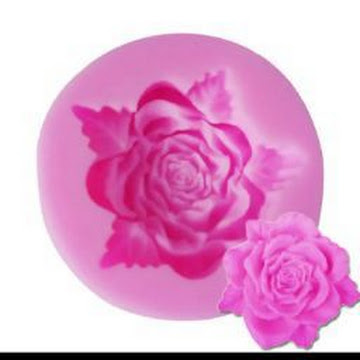 Profile photo of fatima