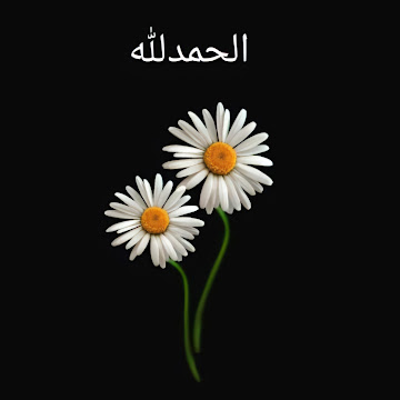 Profile photo of nima-hossein