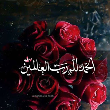 Profile photo of aseel-jamil