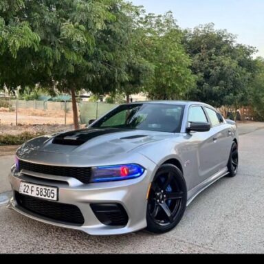 Profile photo of alosh_