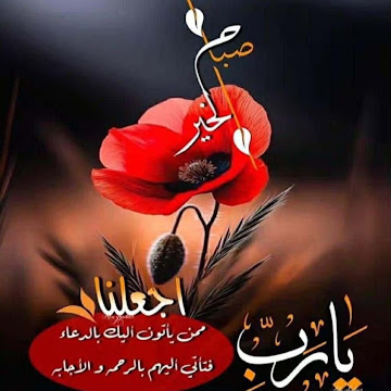 Profile photo of Ali Kamal