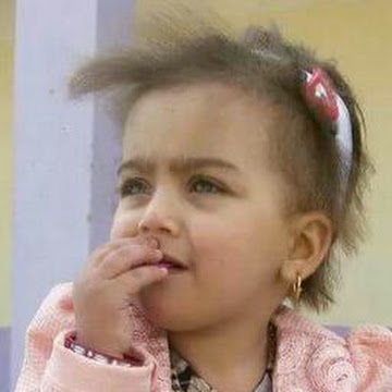 Profile photo of Mohammad Mansour