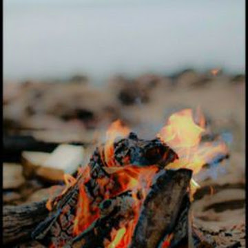 Profile photo of يوسف الانيق
