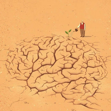 Profile photo of مرتجى الموسوي