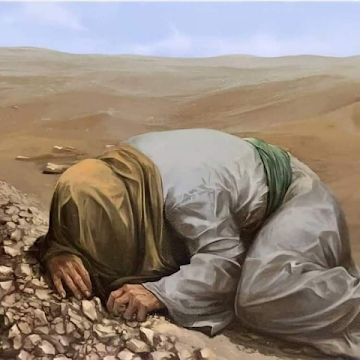 Profile photo of علي الكناني