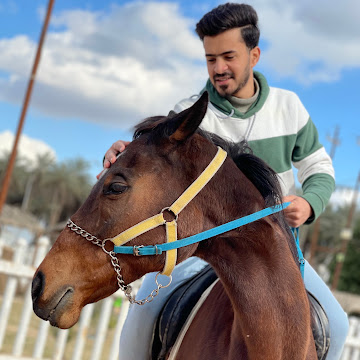 Profile photo of Mohammed Mahdi