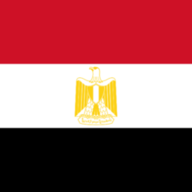 Group logo of تاكسي مصر الدولي