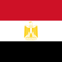 تاكسي مصر الدولي logo