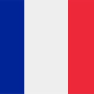 Group logo of France International Taxi