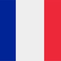 France International Taxi logo