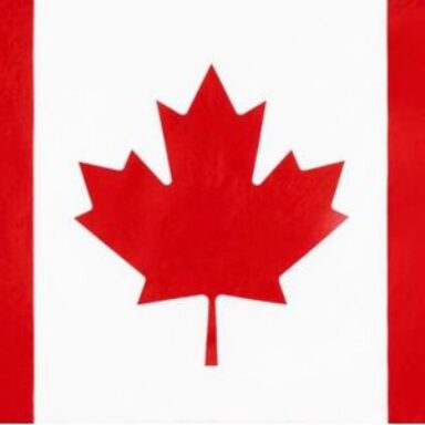 Group logo of Canada International Taxi