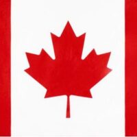 Canada International Taxi logo